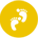科美优势